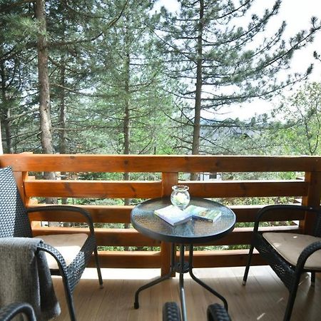 Apartman Silver Lux Zlatibor Zewnętrze zdjęcie