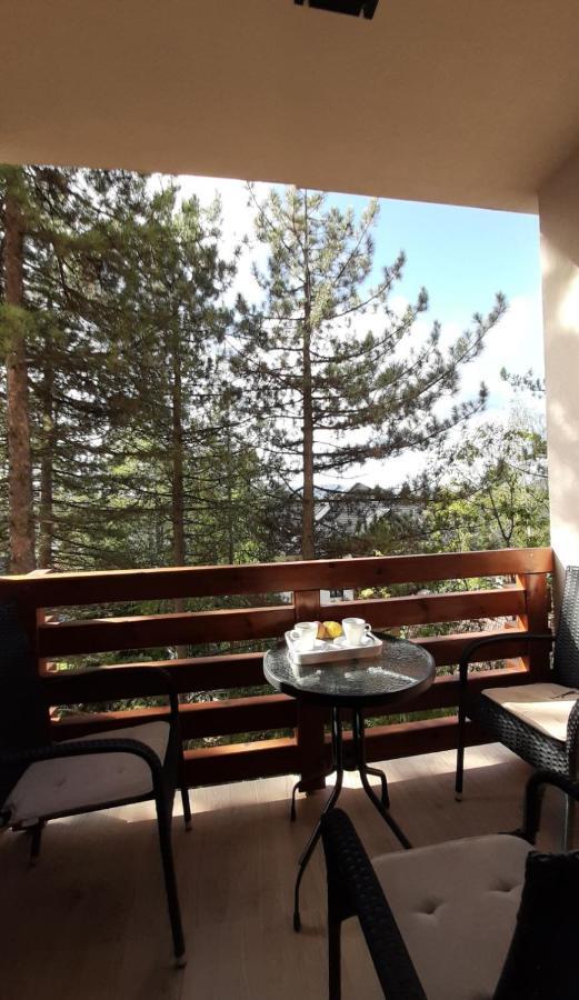 Apartman Silver Lux Zlatibor Zewnętrze zdjęcie